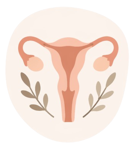 Icône cycle féminin